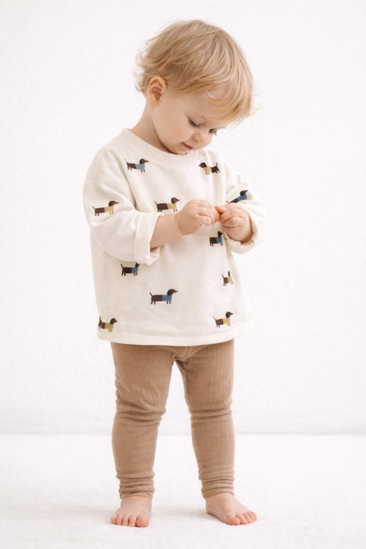 Sweet Dachshund Shirt