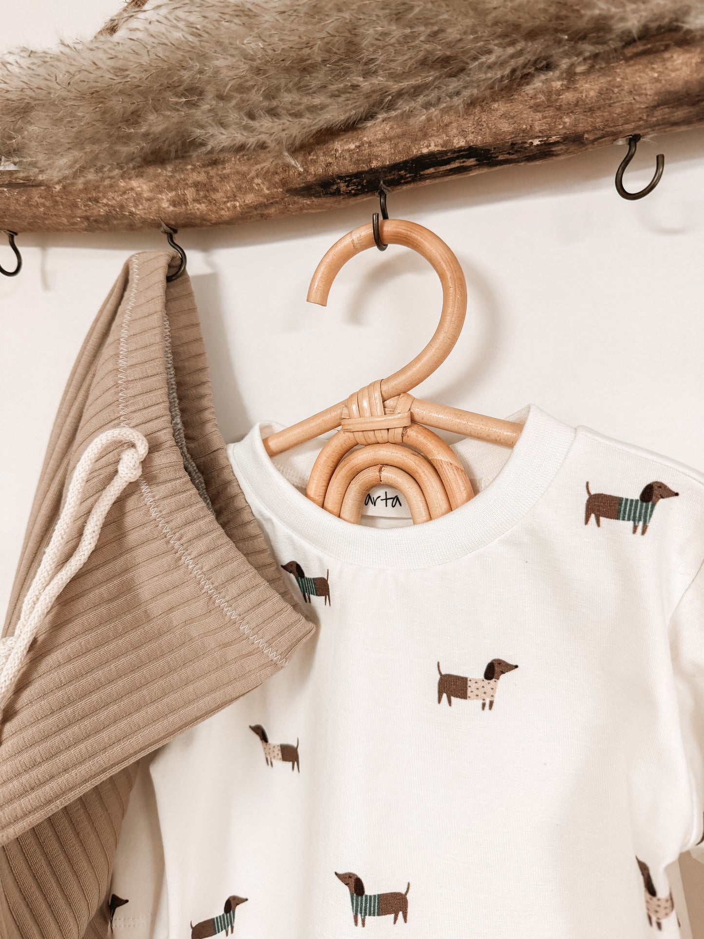 Sweet Dachshund Shirt
