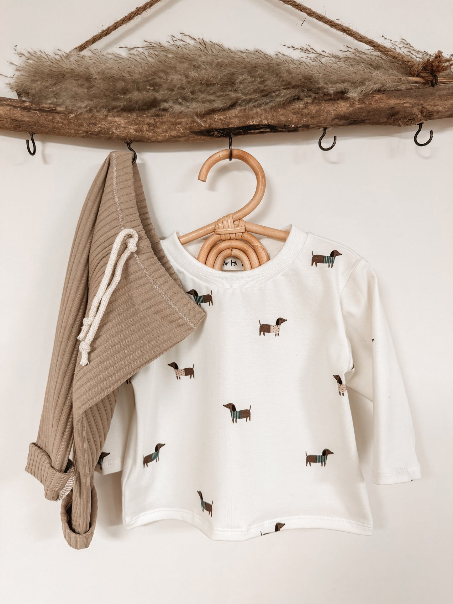 Sweet Dachshund Shirt